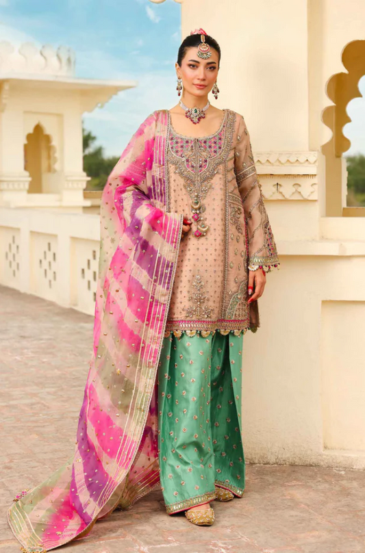 Maria B - Pure Organza Embroidered Fully Heavy Sequence Adda Work - ES 1772
