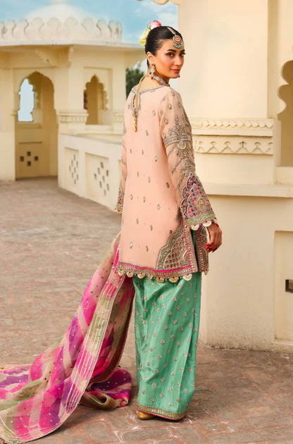 Maria B - Pure Organza Embroidered Fully Heavy Sequence Adda Work - ES 1772