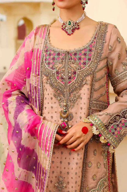 Maria B - Pure Organza Embroidered Fully Heavy Sequence Adda Work - ES 1772