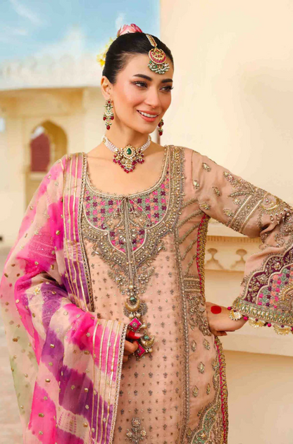 Maria B - Pure Organza Embroidered Fully Heavy Sequence Adda Work - ES 1772