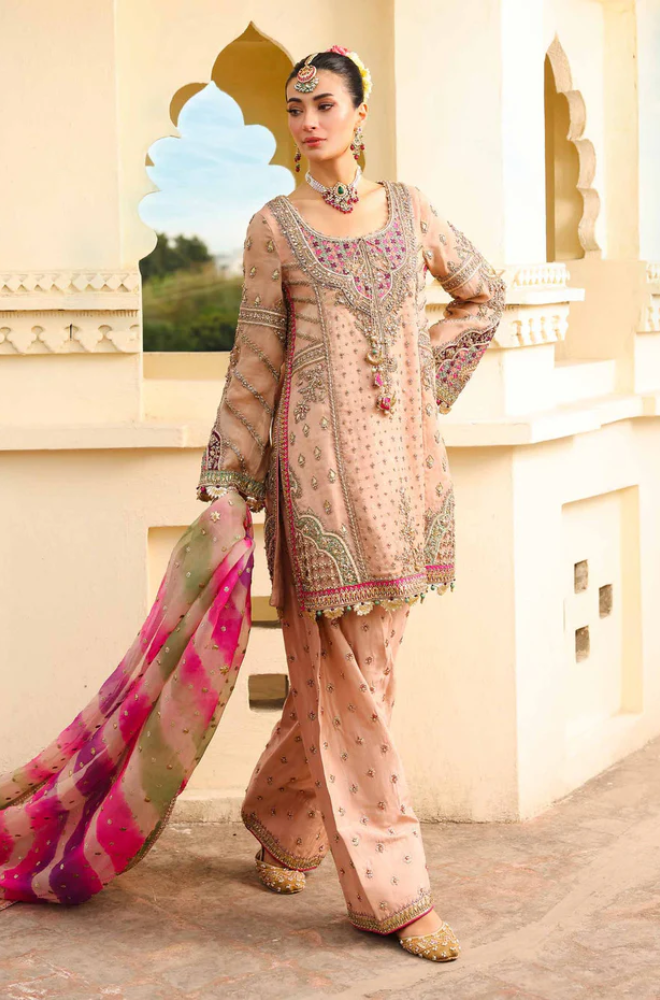 Maria B - Pure Organza Embroidered Fully Heavy Sequence Adda Work - ES 1772