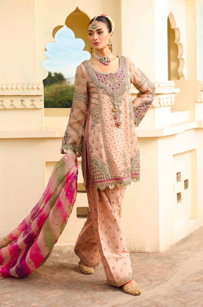 Maria B - Pure Organza Embroidered Fully Heavy Sequence Adda Work - ES 1772
