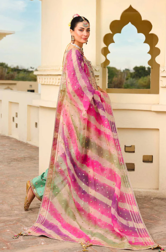 Maria B - Pure Organza Embroidered Fully Heavy Sequence Adda Work - ES 1772